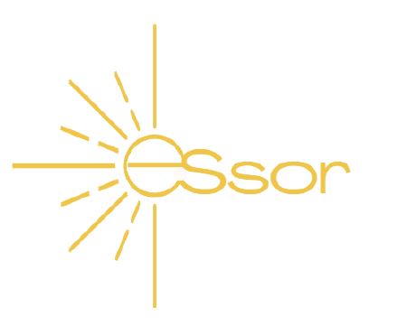 essor-formation-coaching